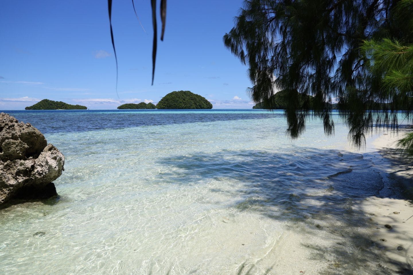 Rock islands i Palau. Foto: André Marton Pedersen