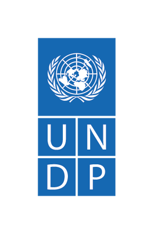 logo UNDP 